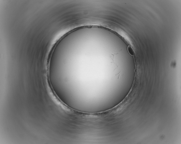 X0000090481088200707272314