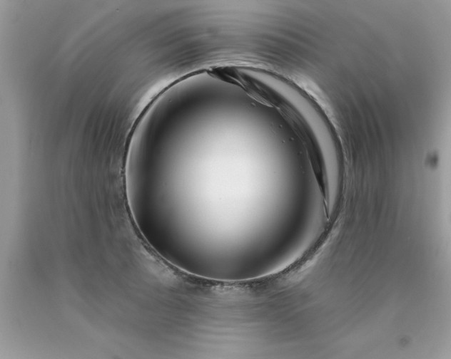 X0000090481089200707272314