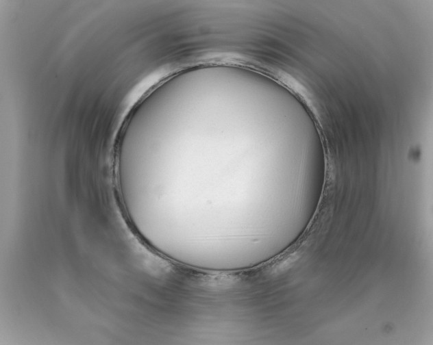 X0000090481090200707272314