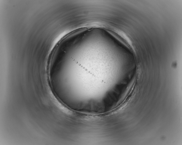 X0000090481091200707272314