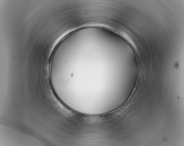 X0000090481092200707272314