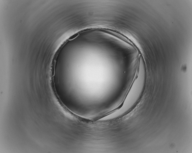 X0000090481093200707272314