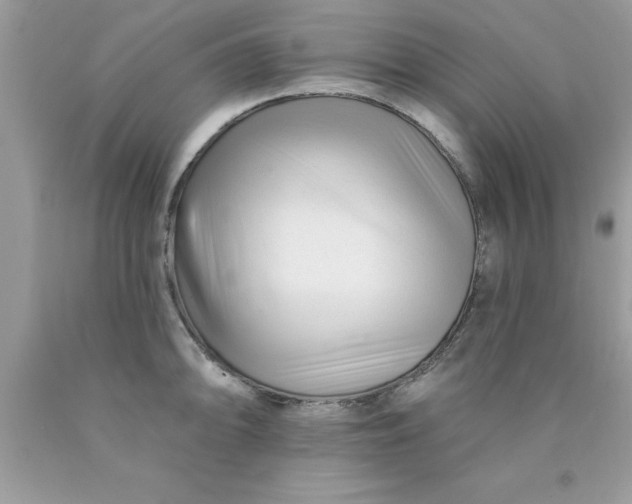 X0000090481094200707272314