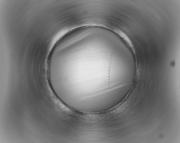 X0000090481096200707272314