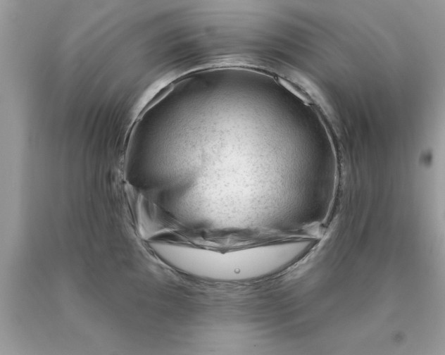 X0000090481097200707272314