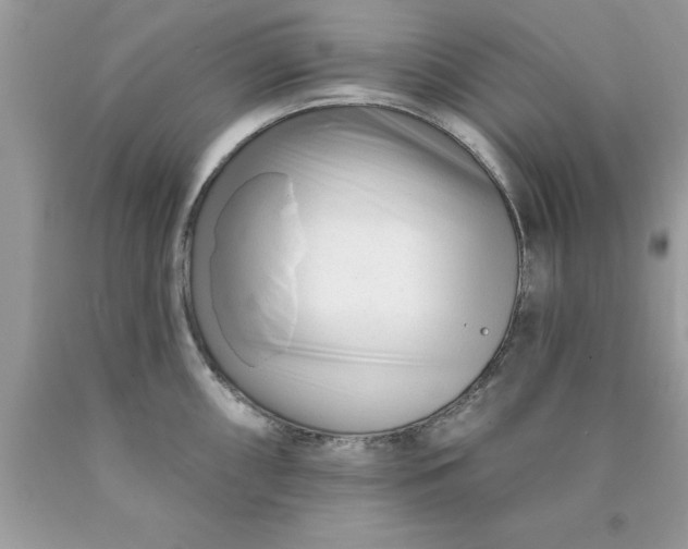 X0000090481098200707272314