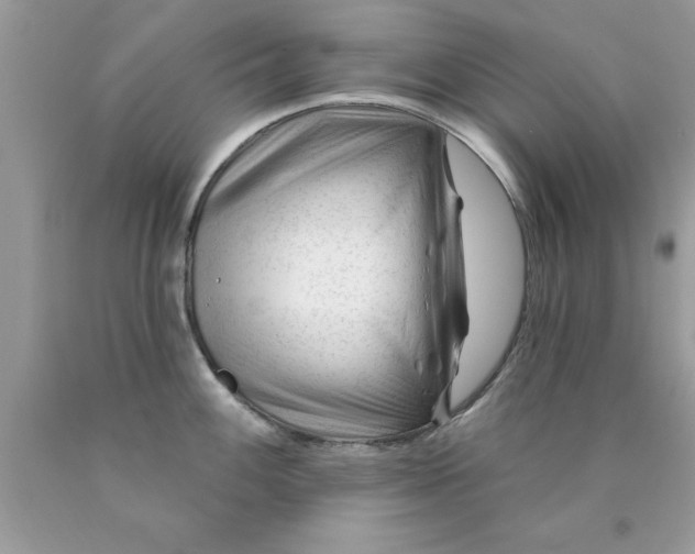 X0000090481100200707272314