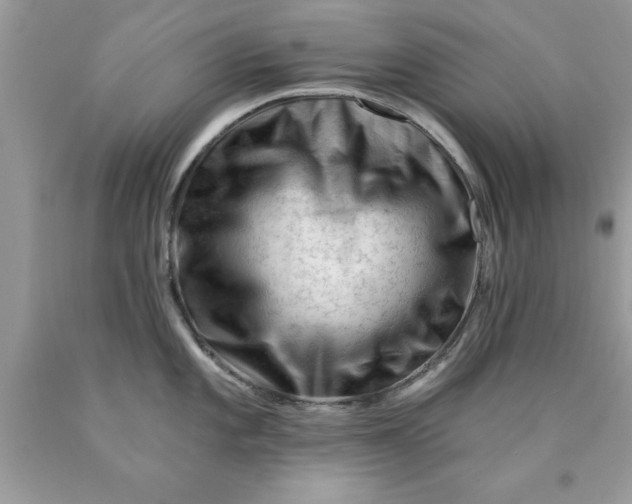 X0000090481101200707272314