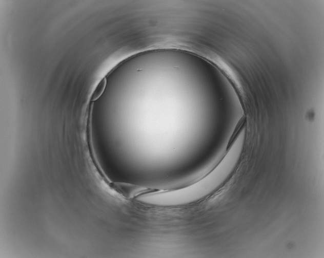 X0000090481102200707272314