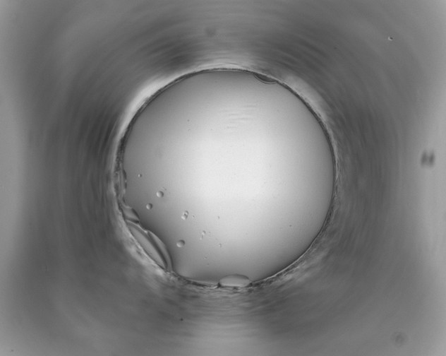 X0000090481104200707272313