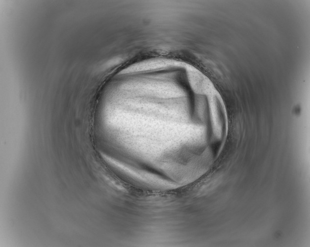 X0000090481105200707272313