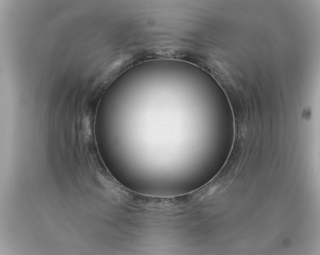 X0000090481106200707272313