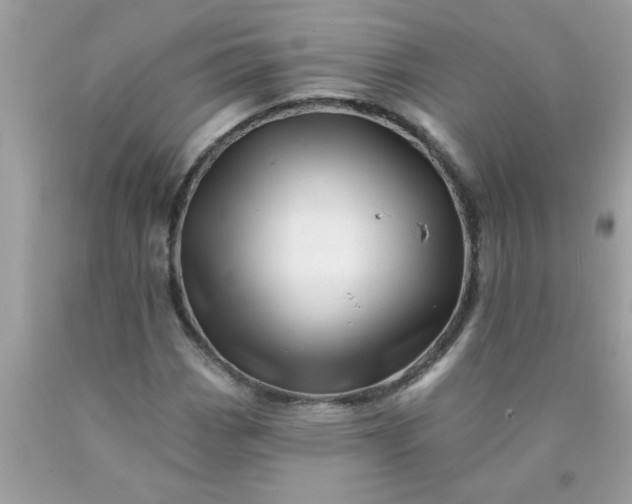 X0000090481113200707272313