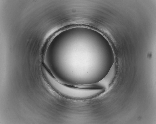 X0000090481114200707272313