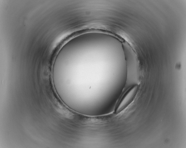 X0000090481115200707272313