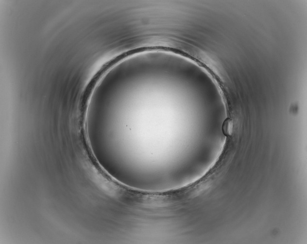 X0000090481116200707272313