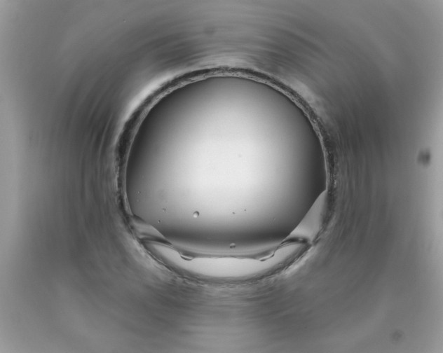 X0000090481118200707272313