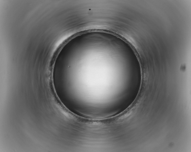 X0000090481119200707272313