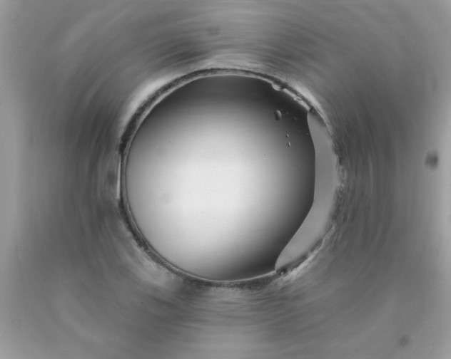 X0000090481123200707272313