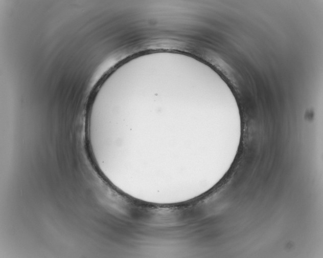 X0000090481130200707272313