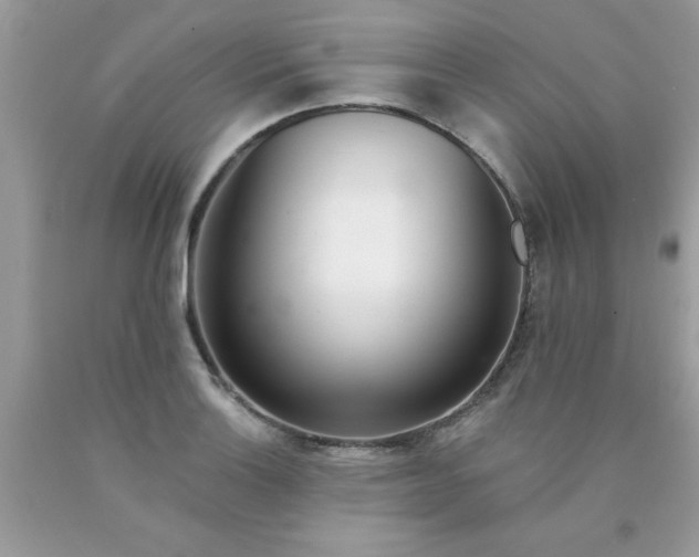 X0000090481132200707272313