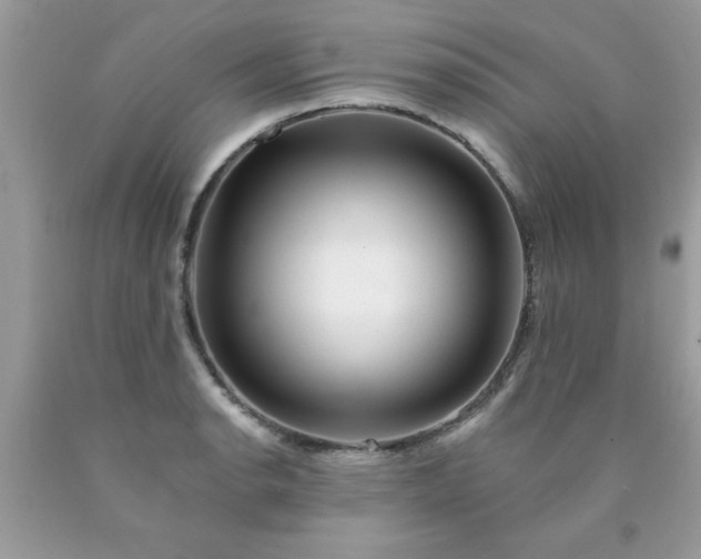 X0000090481134200707272313