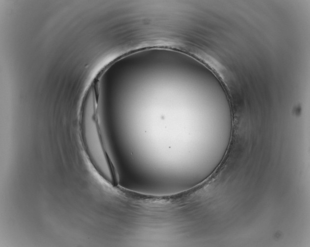 X0000090481135200707272313