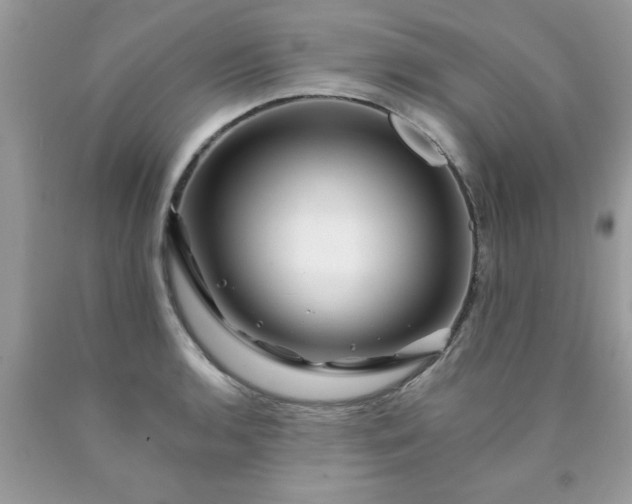 X0000090481136200707272313