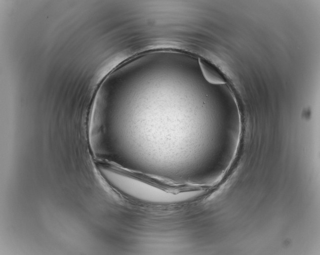 X0000090481137200707272313