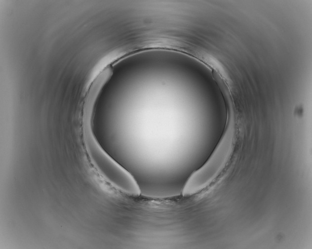 X0000090481138200707272313