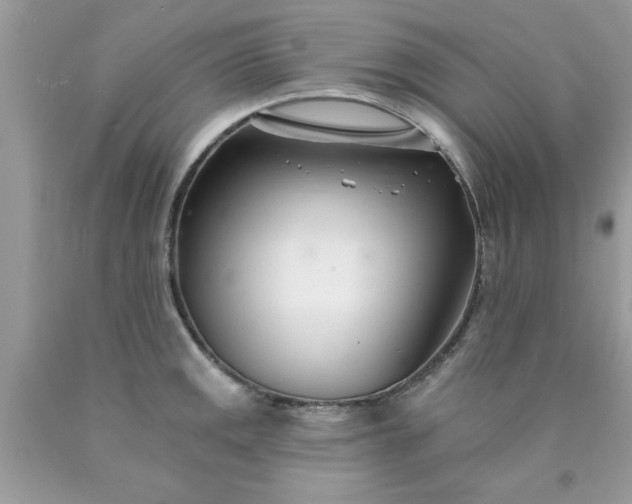 X0000090481141200707272313