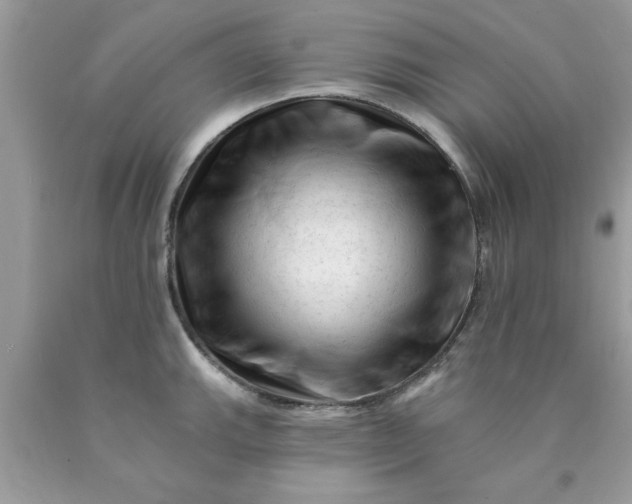 X0000090481143200707272313