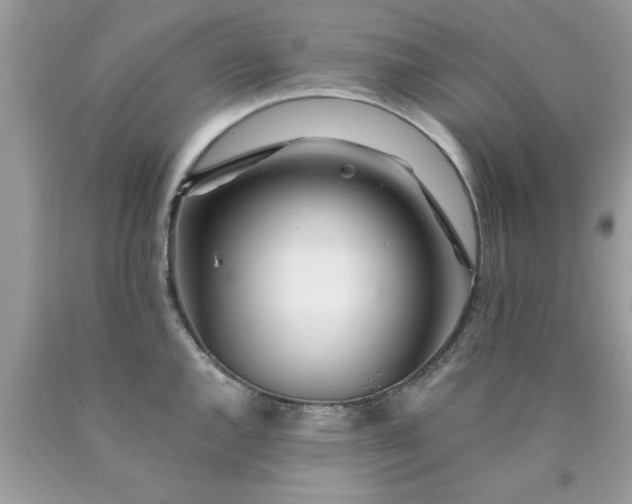 X0000090481144200707272313