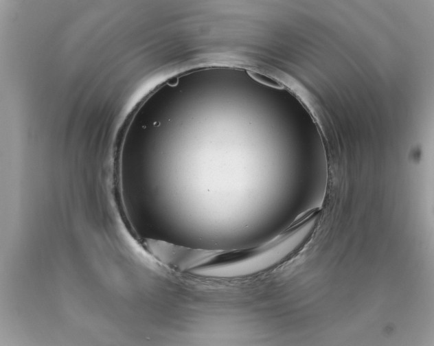 X0000090481147200707272313