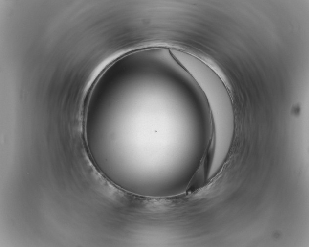 X0000090481148200707272313