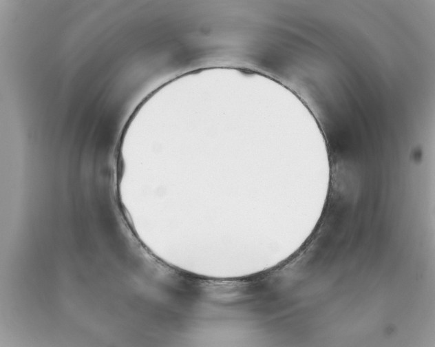 X0000090481150200707272313