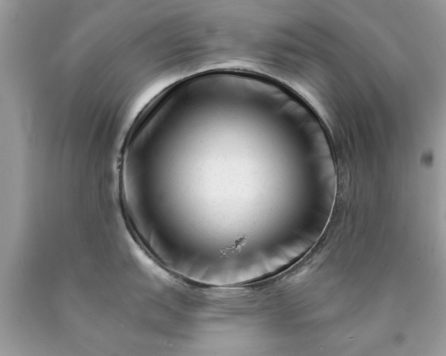 X0000090481151200707272313