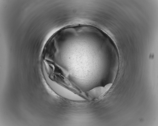 X0000090481152200707272313