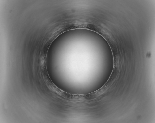 X0000090481154200707272313