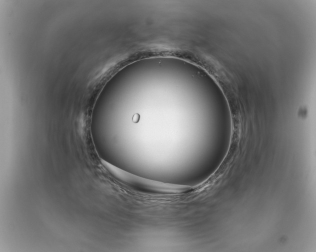 X0000090481157200707272313