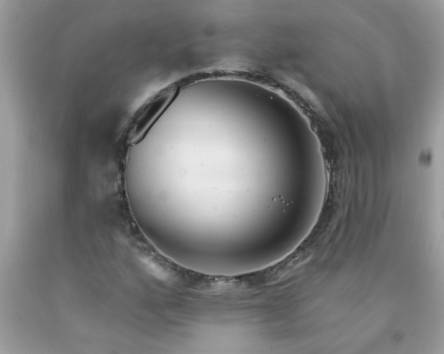 X0000090481160200707272313