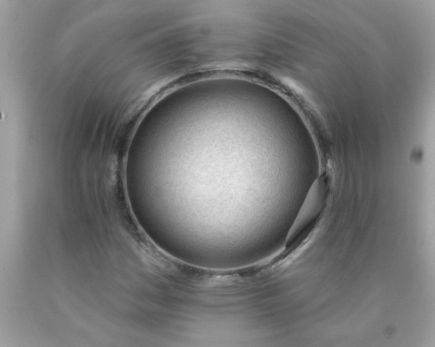 X0000090481161200707272313