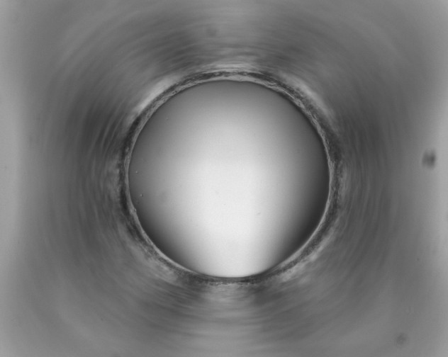 X0000090481162200707272313