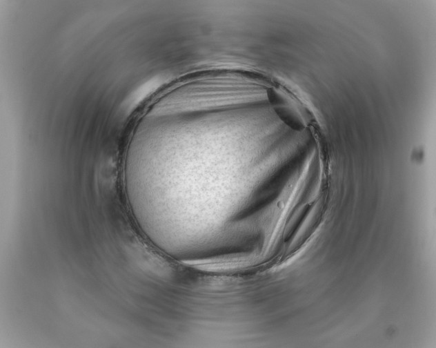 X0000090481163200707272313