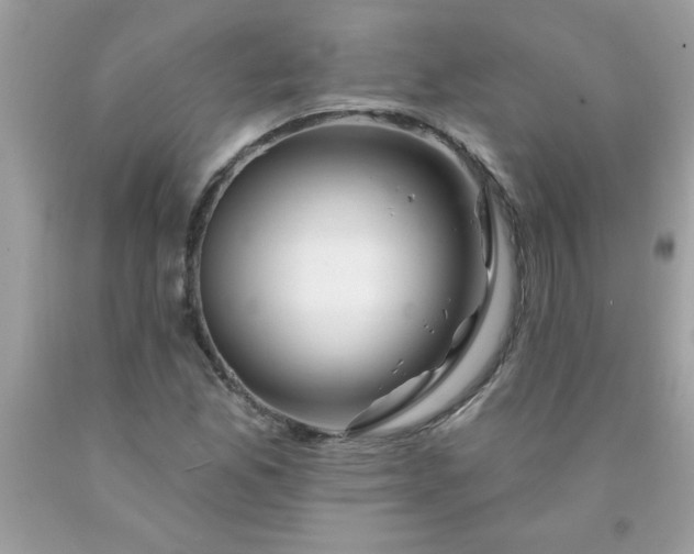 X0000090481165200707272313