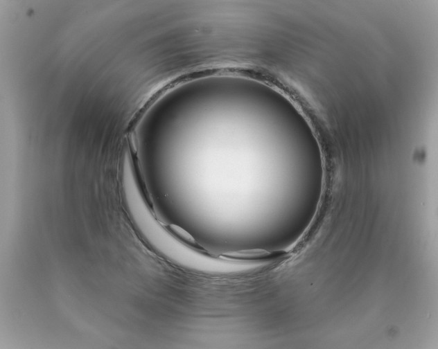 X0000090481169200707272313