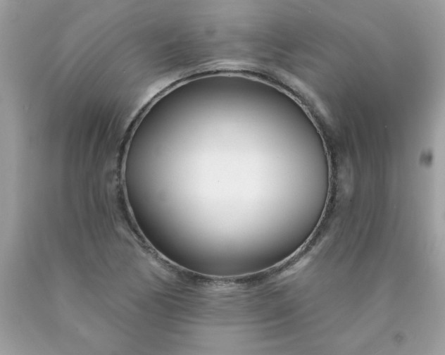 X0000090481170200707272313