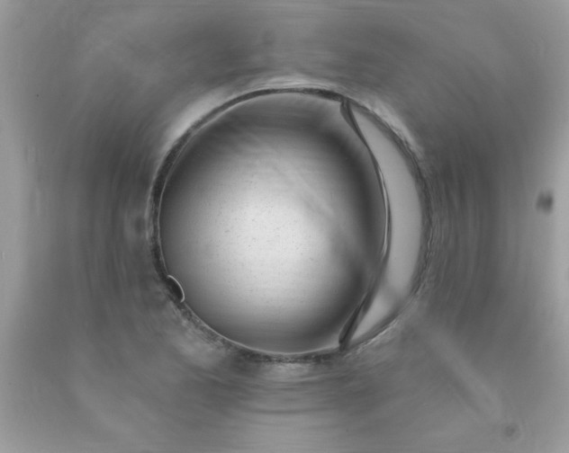 X0000090481173200707272313