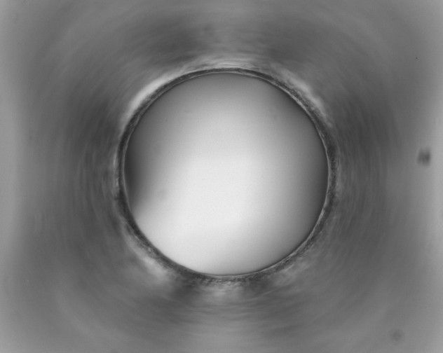 X0000090481174200707272313