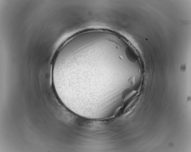 X0000090481175200707272313